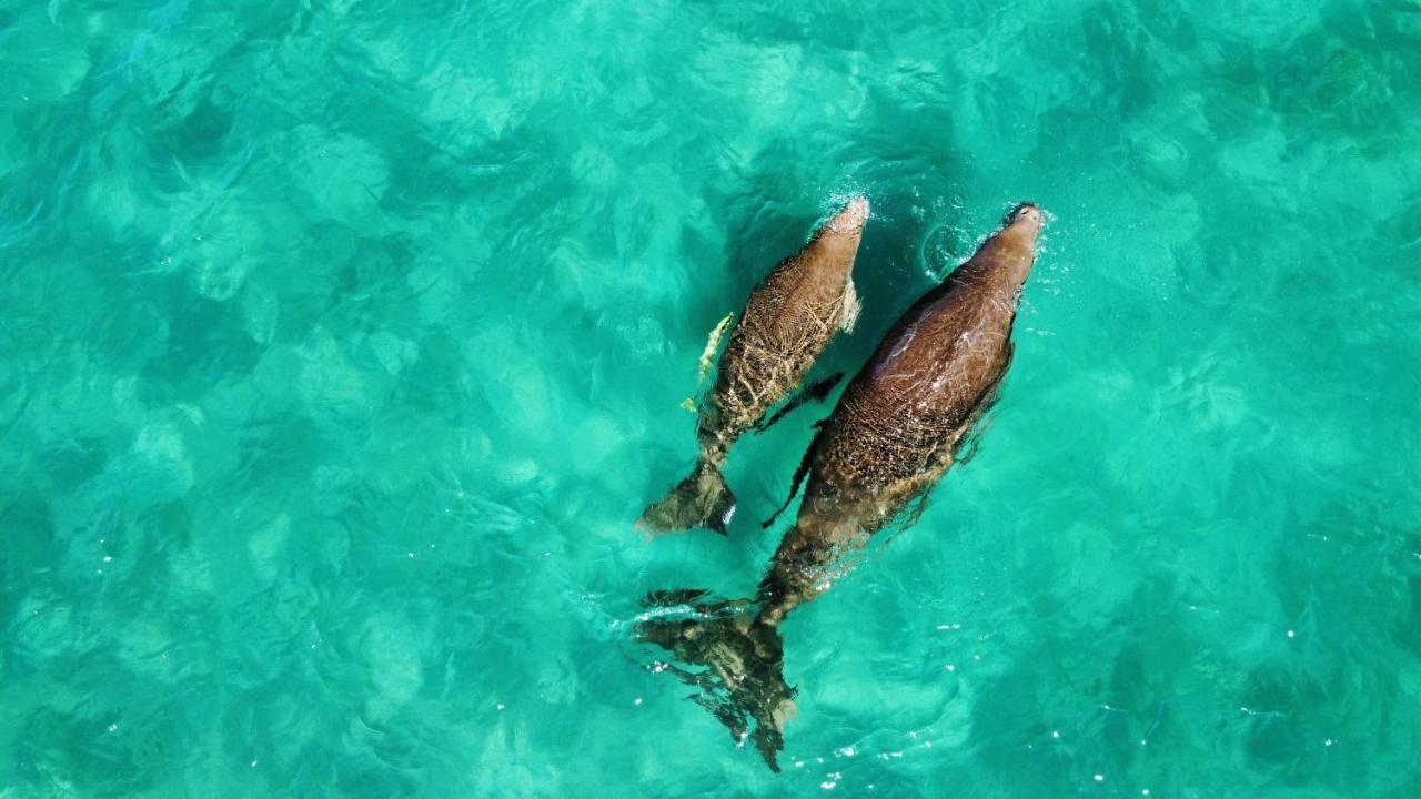 Great Keppel Island Hideaway 3* Great Keppel Island